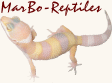 MarBo-Reptiles. Hodowla Gadów Egzotycznych.